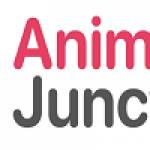 AnimeJunction Profile Picture