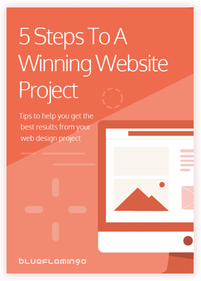 Web Design Toronto | Blue Flamingo Solutions