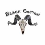 Black Cotton GmbH Profile Picture