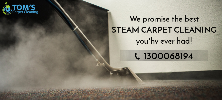 Carpet Cleaning Brighton | #1 Carpet Cleaners | Toms Carpet Cleaning