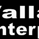 Vallabhi Enterprises Profile Picture
