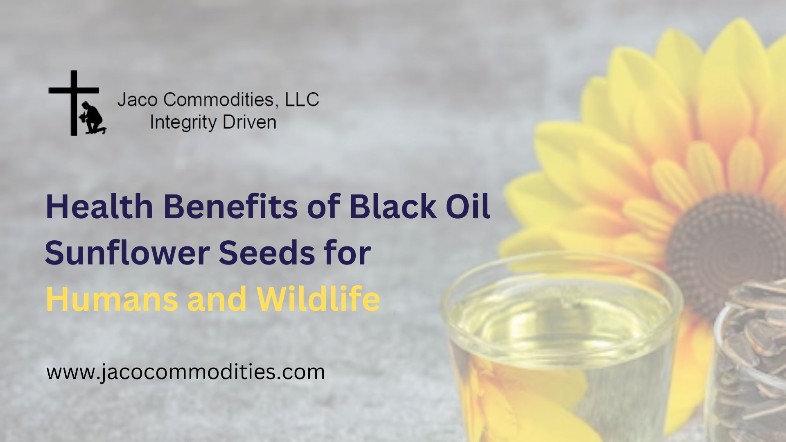 Health Benefits of Black Oil Sunflower Seeds for Humans and Wildlife – Wikiful
