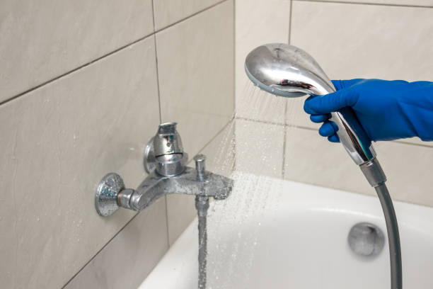 Kohler Shower Cleaning and Maintenance Tips for a Pristine Bathroom - Just Stunning Life