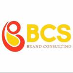 BCSBRAND CONSULTING Profile Picture