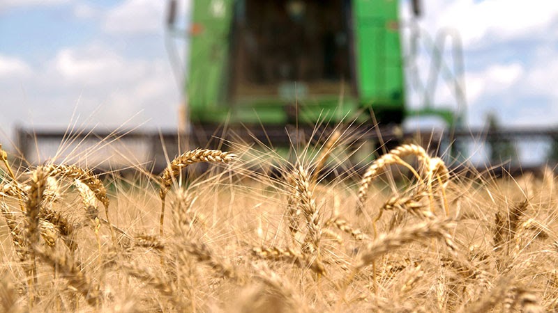 Adapting to Changing Trends: How Combine Concaves Revolutionize Agriculture