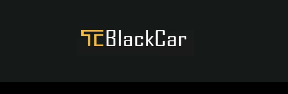 MSP Airport Black Car Private Chauffeurs Service Town Car Service Cover Image