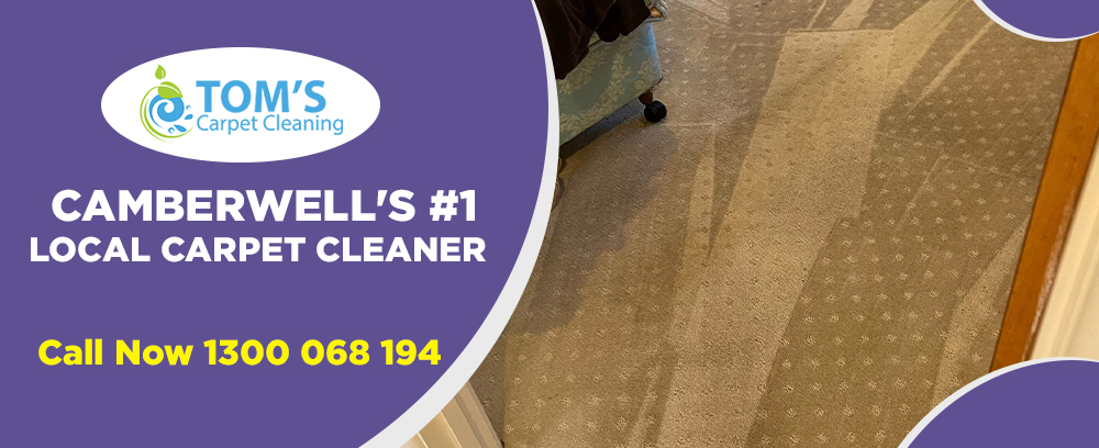 Carpet Cleaning Camberwell | Rug Cleaners | Toms Carpet Cleaning