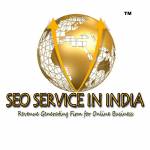 Professional SEO Services India Profile Picture