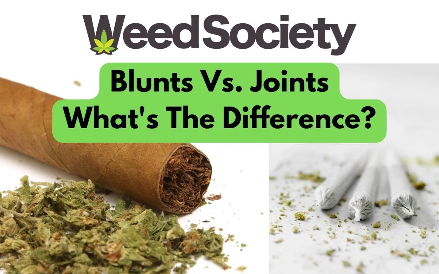 What's the Difference Between a Blunt and Joint? | WeedSociety