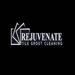 Rejuvenate Tile Grout Cleaning Profile Picture
