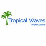 Tropical Waves profile picture