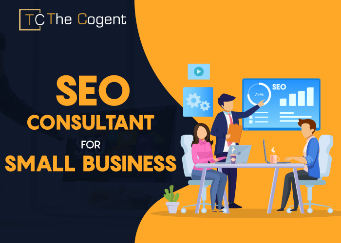 SEO Consultant for Small Business