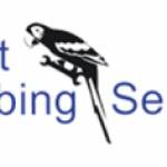 Parrot Plumbing Services Plumbing Services in Derbyshire Profile Picture