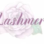 Lashmer Beauty Profile Picture