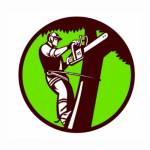 cosprings treeservice Profile Picture