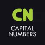 Capital Numbers Profile Picture