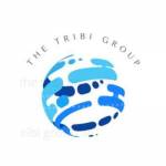 The Tribi Group Profile Picture