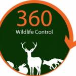 360 wildlifecontrol Profile Picture