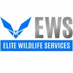 Wild life Services Profile Picture
