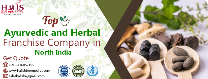 Top Ayurvedic Herbal PCD Franchise Company in North India