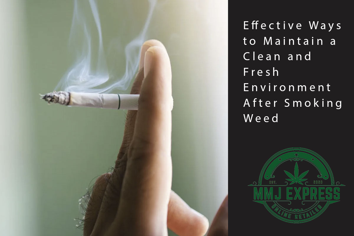 Effective Ways to Maintain a Clean and Fresh Environment After Smoking Weed - MMJ Express