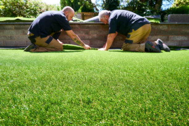 How to Determine the Best Artificial Turf for Your Needs » Tadalive - The Social Media Platform that respects the First Amendment - Ecommerce - Shopping - Freedom - Sign Up