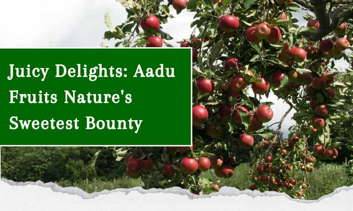 Juicy Delights: Aadu Fruits Nature's Sweetest Bounty