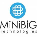 Mini Bigtech Profile Picture