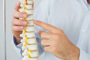 The Power of Chiropractic Physical Therapy: A Comprehensive Guide | by Beach Health | Oct, 2023 | Medium