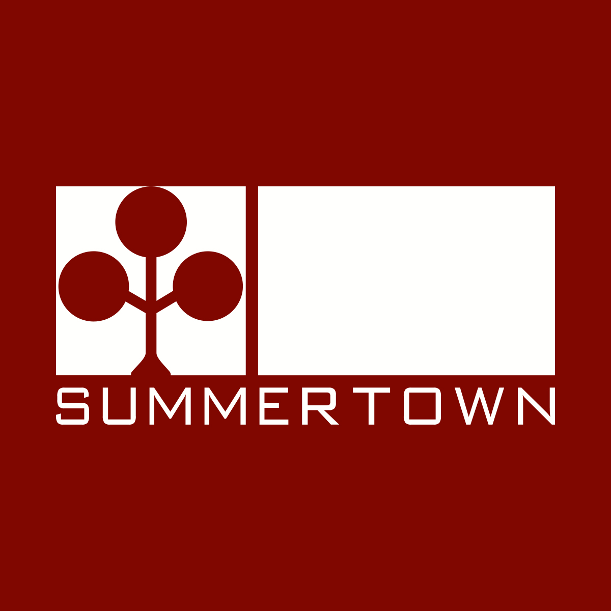 Summertown: Your Top Choice Among Office Fit Out Companies in Dubai