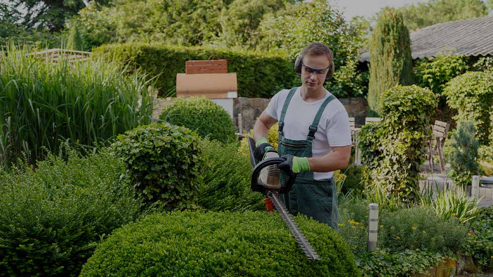 Get Best Landscape Services in Dubai, Sharjah - Eco Guardian