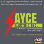 AYCE Electric Profile Picture