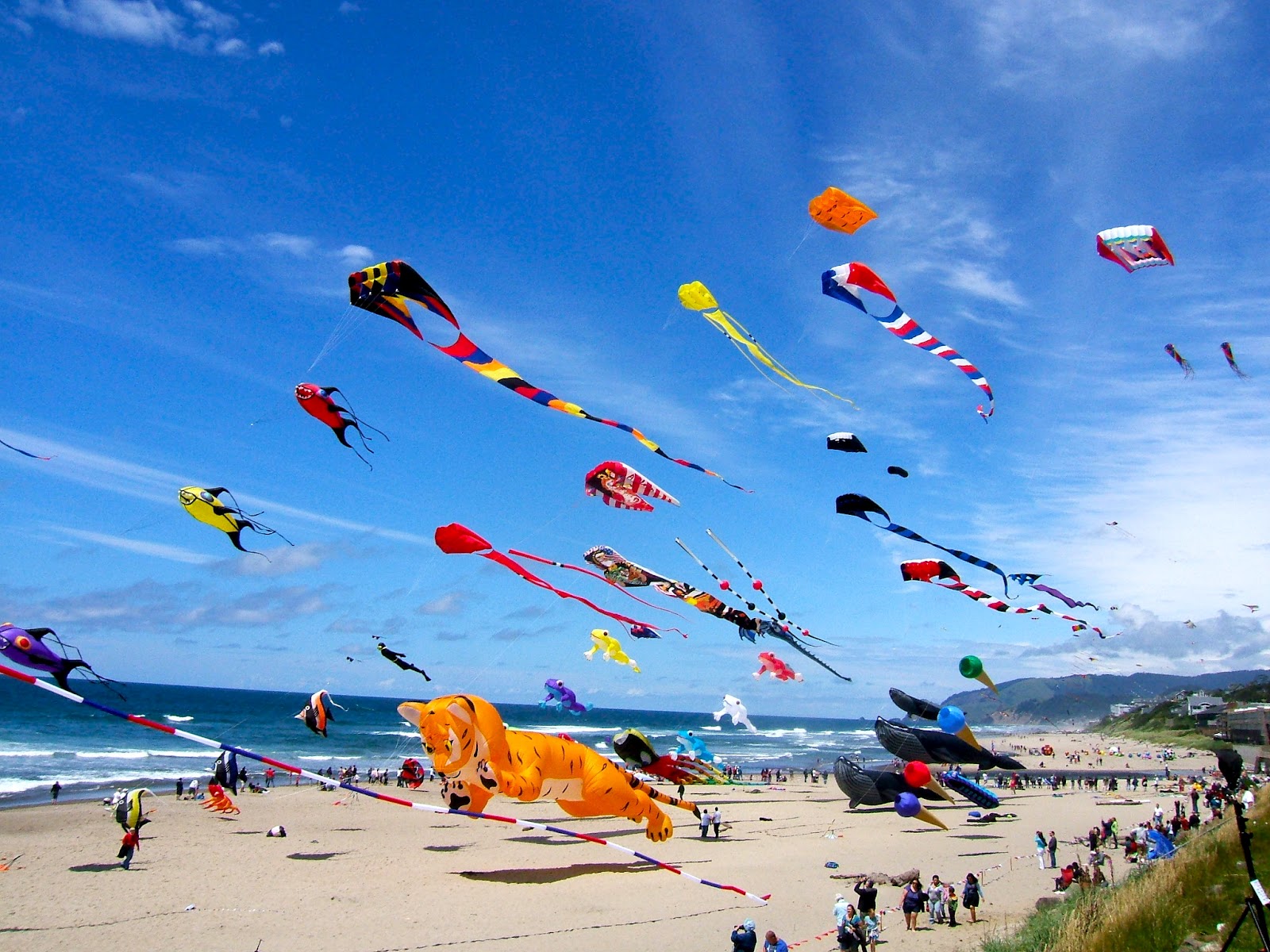 High-Flying Fun: A Guide to Affordable and Quality Kites for Sale in Australia! – Leading Edge Kites
