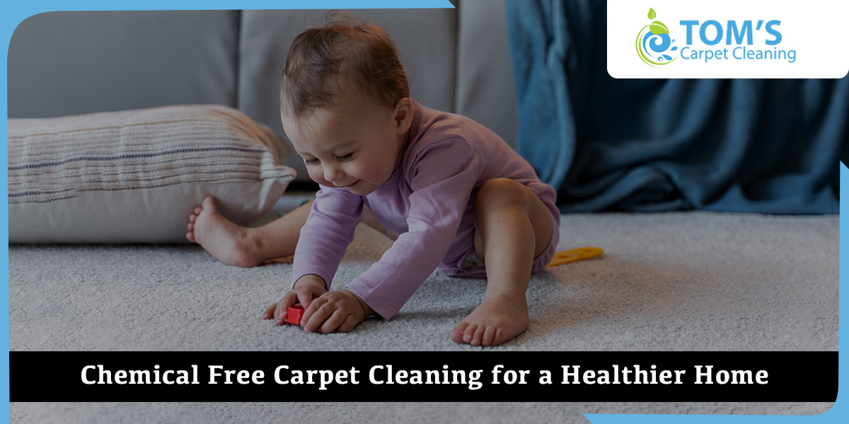 Chemical Free Carpet Cleaning for a Healthier Home