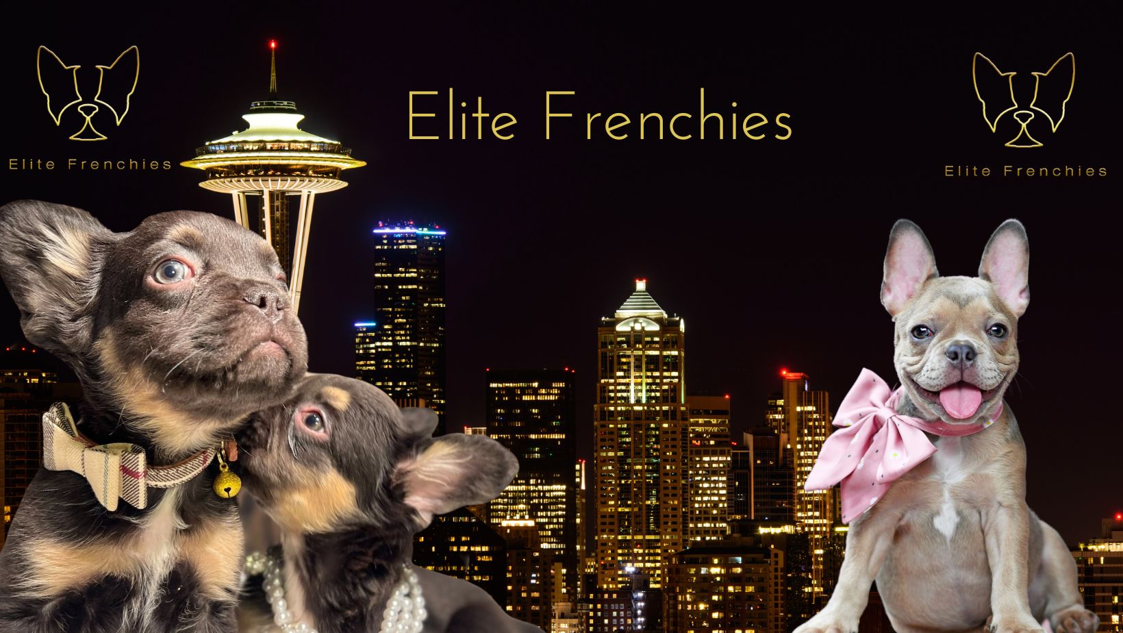 Elite Frenchies Cover Image