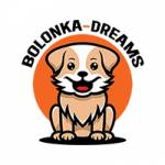 Bolonka Dreams Profile Picture