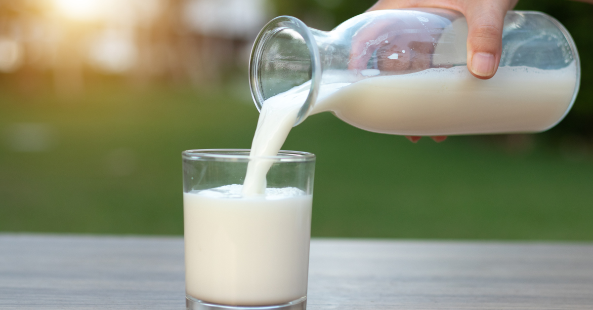 Nurturing Wellness: The Organic A2 Milk and Ghee Revolution in Ahmedabad | by Go Amrut | Nov, 2023 | Medium