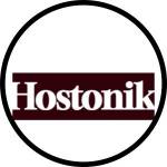 Hostonik Best Web Hosting For Small Busin Profile Picture