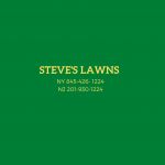 Steves Lawns Inc Profile Picture