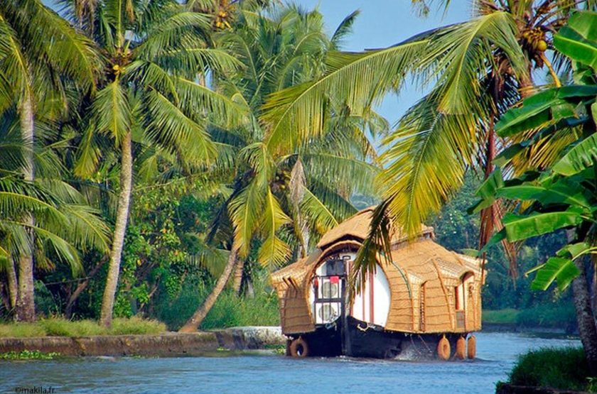 L’Élégance du Voyage de Luxe en Inde du Sud – Explorez les Fascinants Backwaters du Kerala et Découvrez les Bienfaits de l'Ayurveda dans ce Paradis Terrestre