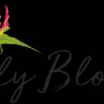 Lily Blooms Wonthaggi Florist Profile Picture