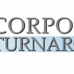Corporate Turnaround Profile Picture