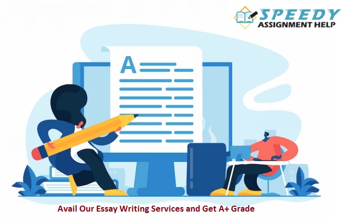 Essay Help and Writing Services by Subject Matter Experts Online | TechPlanet