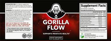 Gorilla Flow Cover Image