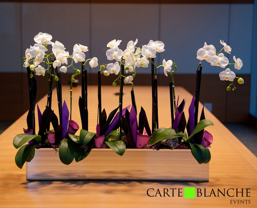 Private Event and Party Planner Vancouver | Carte Blanche Management