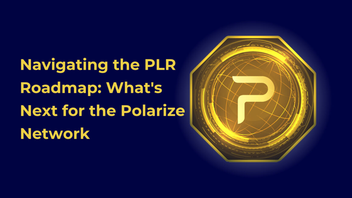 Navigating the PLR Roadmap: What's Next for the Polarize Network