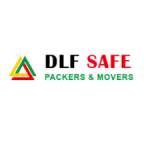 DLFsafe Packers Profile Picture