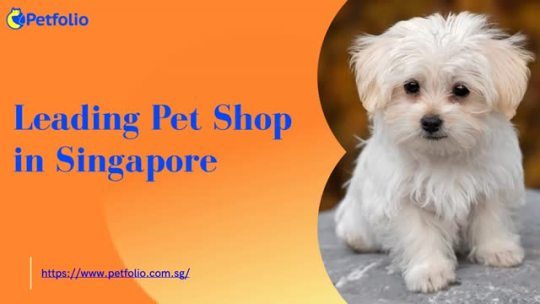 Leading Pet Shop in Singapore