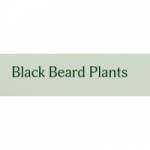 beardplantsblack Profile Picture