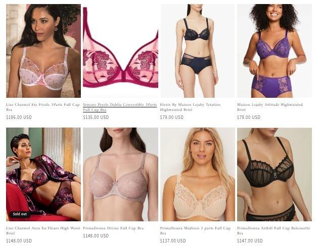 Benefits of Full-Figure Bras for Women - Woman's Clothe...